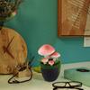 1PC Potted Faux Garden Decor Simulation Moss Flower Pot Mushroom Artificial Mushroom Bonsai Plant