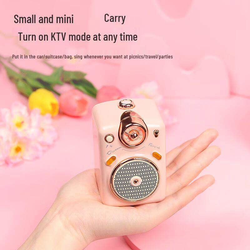 DianYin Fairy Portable Bluetooth Karaoke Speaker