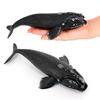 Right Whale Figurine Realistic Whale Model Sculpture Desktop Decoration Ornament Kids Educational