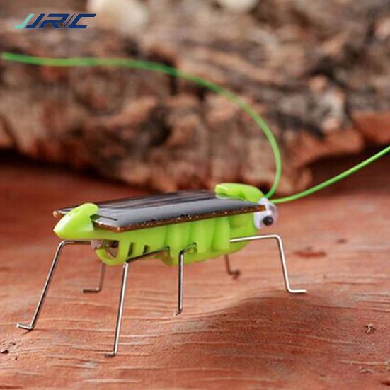 DYS Creative Fun Solar Power Robot Insect Locust Grasshopper Kids Educational Toy