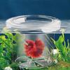 Suspension Floating Fish Breeding Isolation Box Transparent Fish Tank Hatching Box  Spawning Room