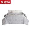 Hengyuanxiang 3D Comfort Winter Quilt