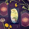 The Children of Ostara Tarot Deck 78 Pcs Tarot Cards Based On RWS Lavishly Illustrated with Guidebook for Beginners 12*7cm