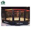 Professional Octagonal Combat Ring