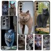 British Shorthair Cat Soft Phone Case For Samsung Galaxy S24 S23 S22 S20 Ultra S21 FE 5G S10 S9 Plus S10E S8 20 Silicone Cover