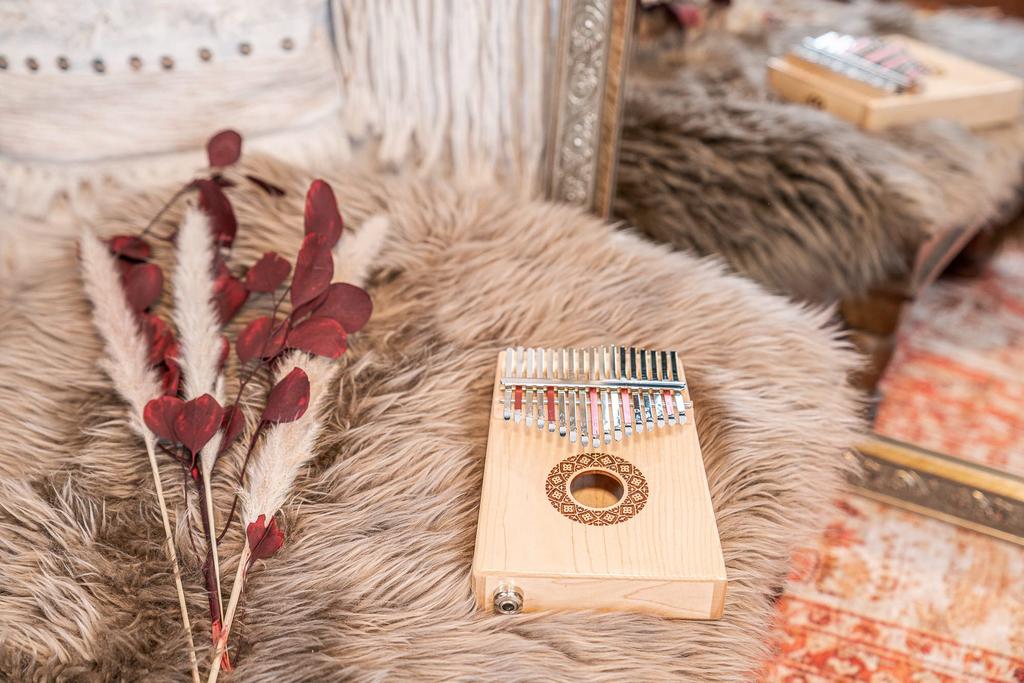 MEINL Sonic Energy Collection Electric Kalimba Soundhole Pickup Kalimba Maple 17 клавиш C Major Scale PKL1709H Hammer (Эксклюзивный чехол/сумка/крест/тюнинг