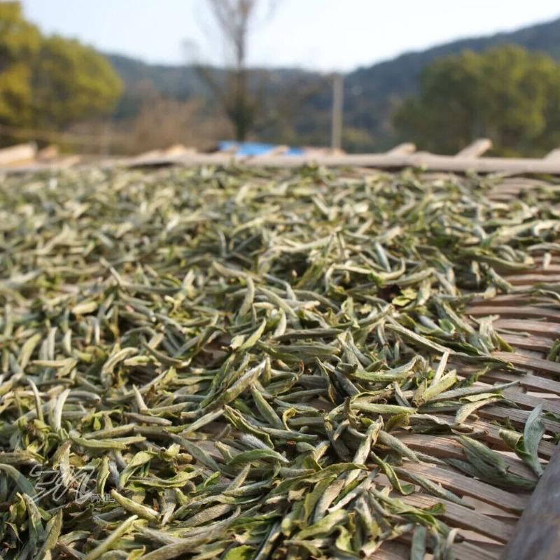 Promotion! Chinese Fujian Fuding Supreme Silver Needle White Tea 500g 100g/bag