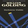 Darkness Visible by William Golding Paperback Book 9780571365098