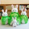 Creative Rabbit Cabbage Plush Toy Doll Cute Baicai Rabbit Pillow Doll Children's Gift