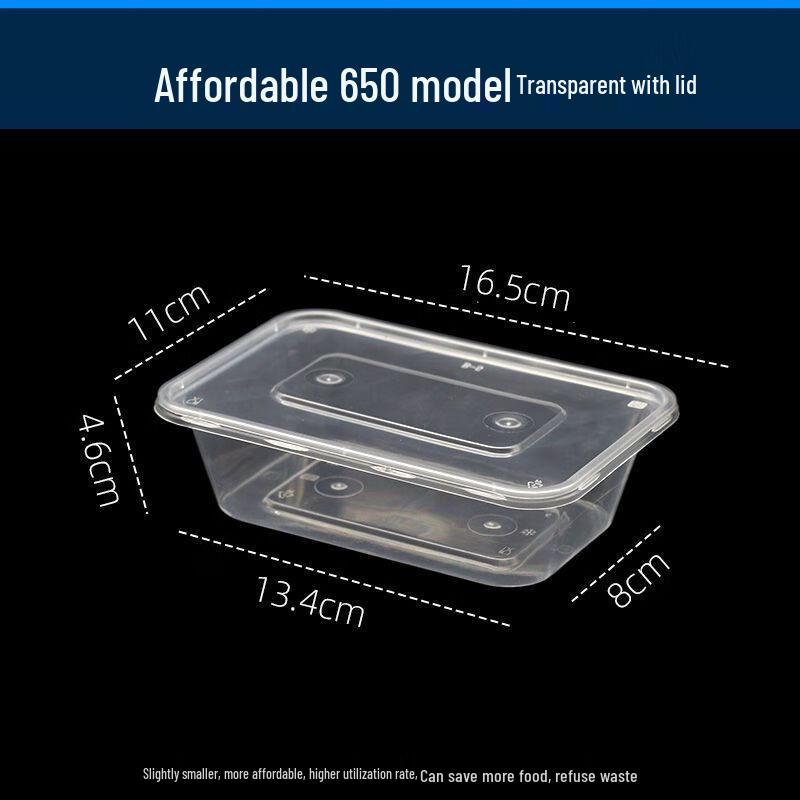 Transparent Rectangular Disposable Food Containers with Lids
