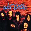 CD WET WILLIE - The Best Of Wet Willie 3145196062 Polydor 1994 US Рок Б/У