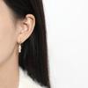 Golden Opal Anti-allergic Bamboo Earrings, Guochao Retro Gradually Rising High-end Long Bamboo Earrings