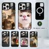 Забавные мемы с домашними кошками Чехол для телефона Для iPhone17,16,15,14,13,12,11 Plus,Pro Магнитный с Magsafe Беспроводной зарядкой