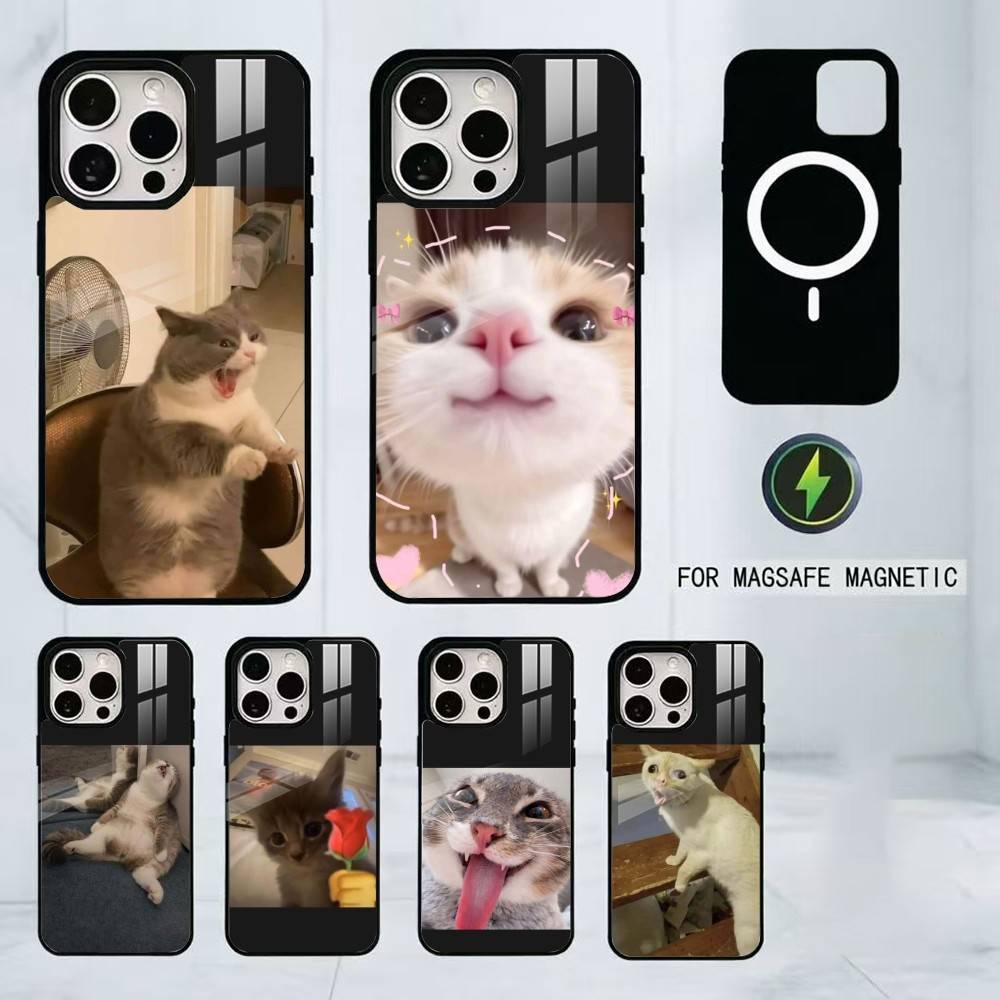 Забавные мемы с домашними кошками Чехол для телефона Для iPhone17,16,15,14,13,12,11 Plus,Pro Магнитный с Magsafe Беспроводной зарядкой
