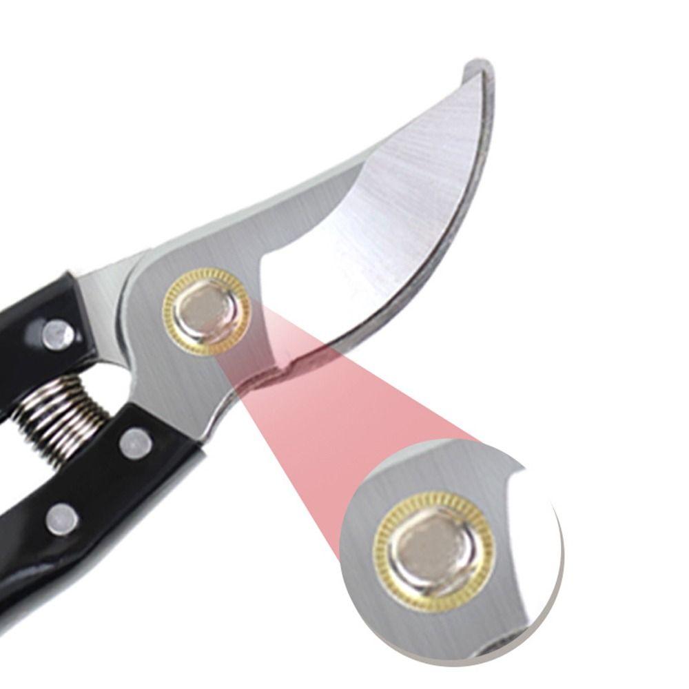 Весенние секаторы Садовые секаторы Экономящие труд Многофункциональные садовые ножницы Сельское хозяйство