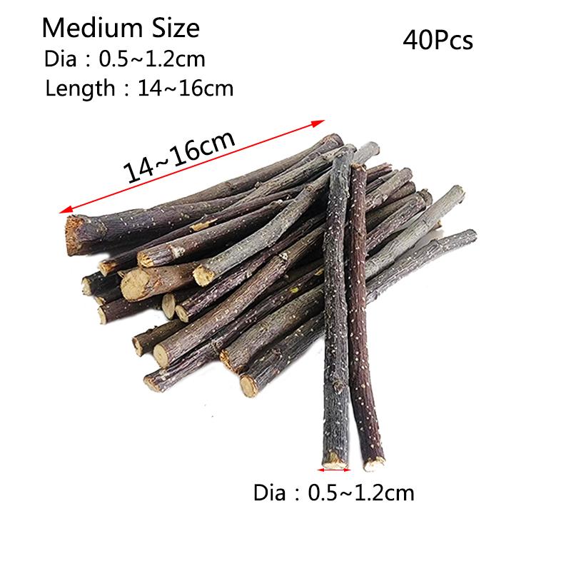 20/40/80/100pcs Hamster Rabbit Teeth Grinding Apple Tree Stick Minerals Molar Stone Toys for Chinchilla Hamster Pet accessories 5