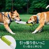 AUSCAT Канатная игрушка для собак Редис