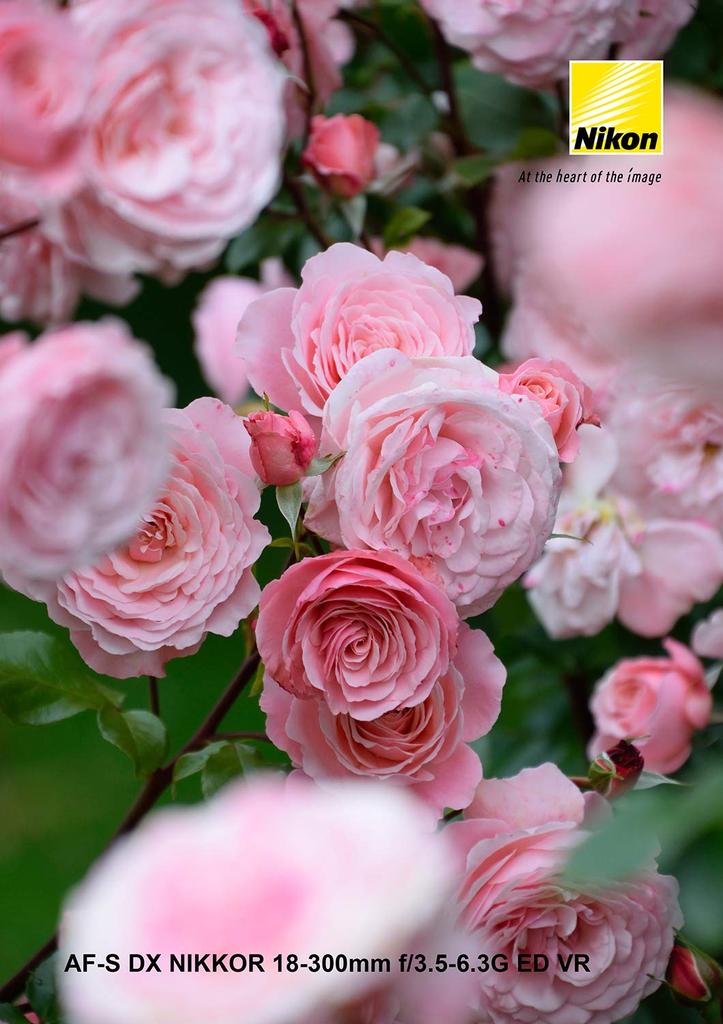 Nikon High Magnification Zoom Lens DX NIKKOR ED VR Exclusively for Nikon DX Format AF-S 18-300mm f/3.5-6.3G