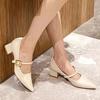 Women Pointed Mid-heels Mary Jane Shoes Female Autumn Retro Shallow Dress Shoes Ladies 2024 Fashion Elegant Square Heel Pumps