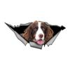 Виниловая наклейка на автомобиль Spaniel 3D, наклейка на бампер Fun Insurance для автомобилей, грузовиков, мотоциклов, стен, окон, материал ПВХ