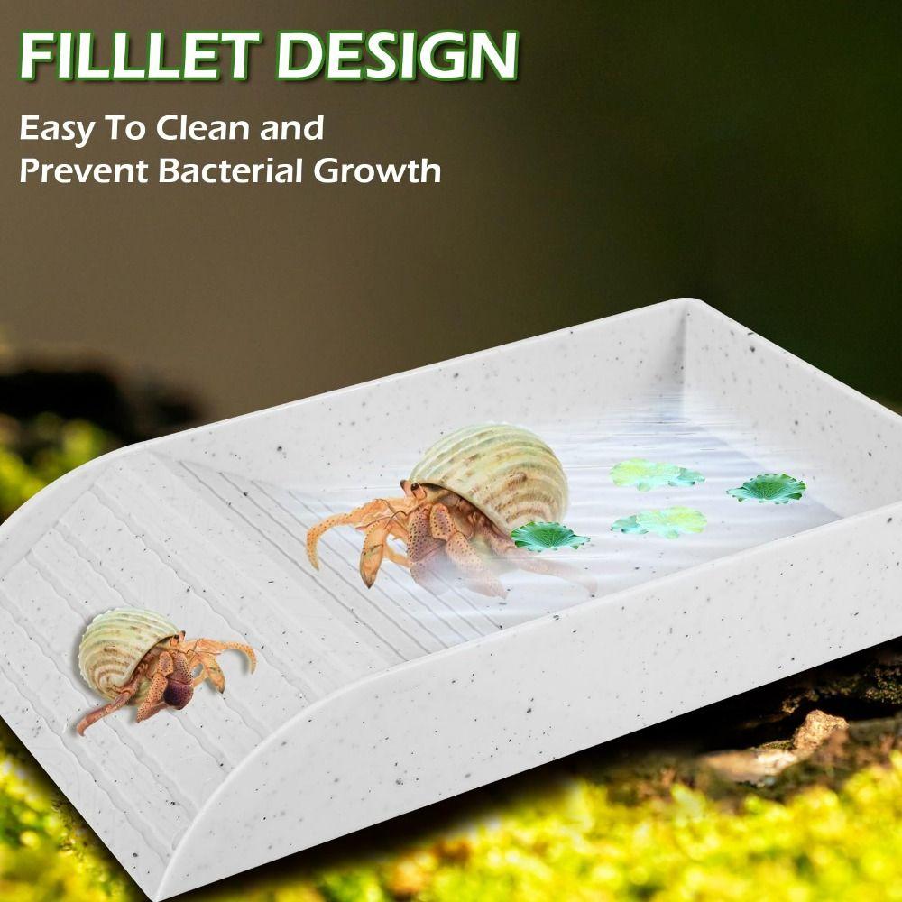 С Рампой Бассейн для Рептилий Пластиковая Коробка для Кормления Рептилий Миска Отшельник Краб Игрушка для Лазания