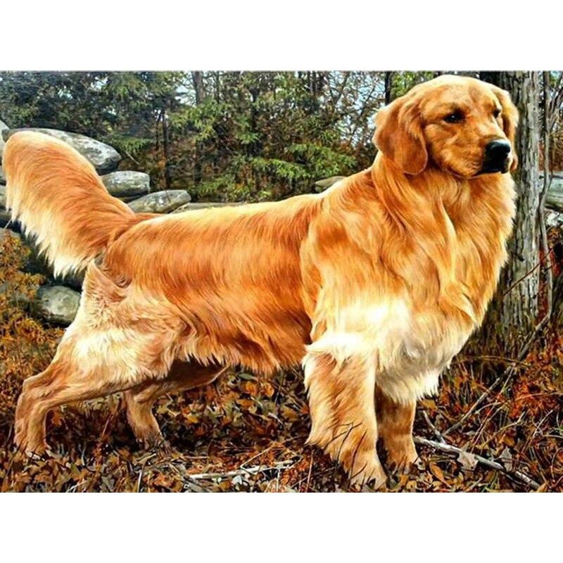 5D DIY Алмазная картина Набор Собака Искусство Алмазная вышивка Стразы Украшения для дома