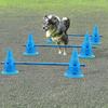 Set of 3 Dog Agility Jumps and Hurdles for Indoor Pet Training and Exercise
