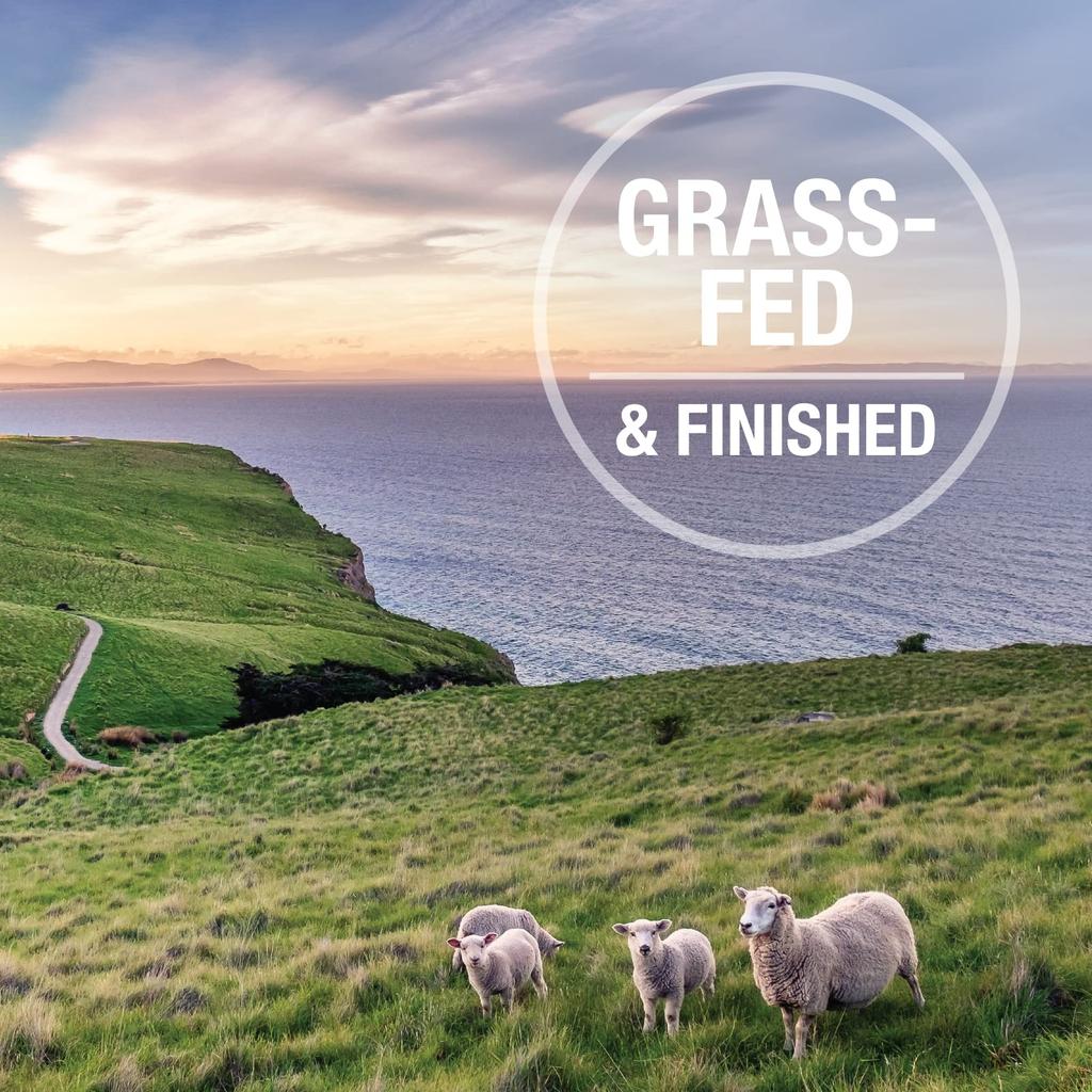 K9 Natural Freeze Dried Dog Food Lamb King Salmon Feast 500 г &