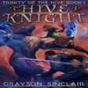 Hive Knight by Grayson Sinclair Hardback Book 9781989458983