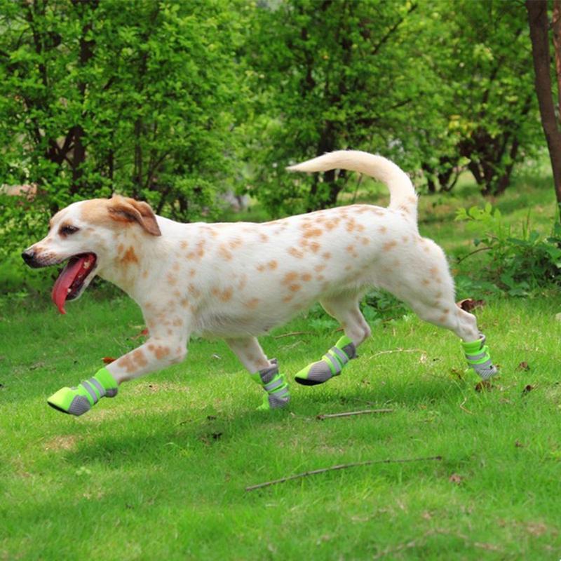 Акриловые ботиночки на липучках пэчворк для собак