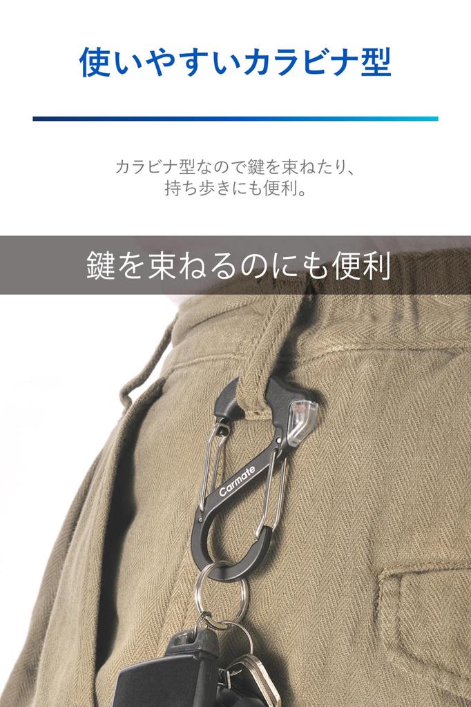 CARMATE Car Key Case Keychain Resitech Static Eliminator Carabiner SDZ580