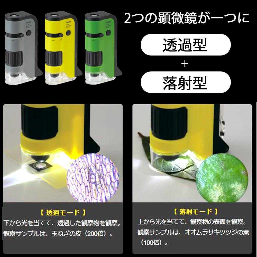 Raymay Fujii Handy Microscope DX Yellow RXT300Y