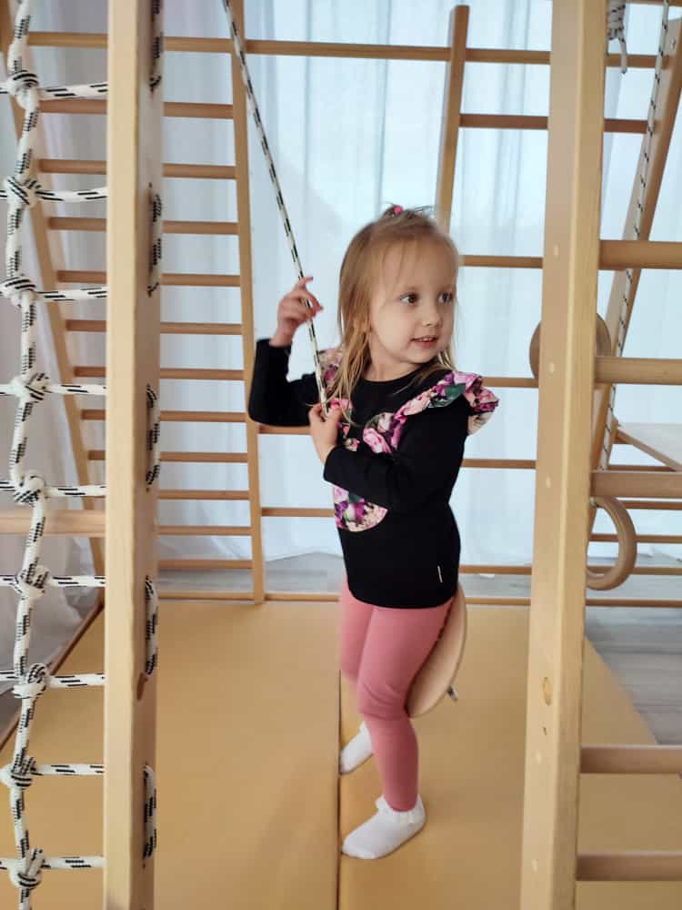 Mammoth Light Home Playground Wood