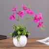 Набор искусственных цветов Фаленопсис Бонсай для комнатного показа