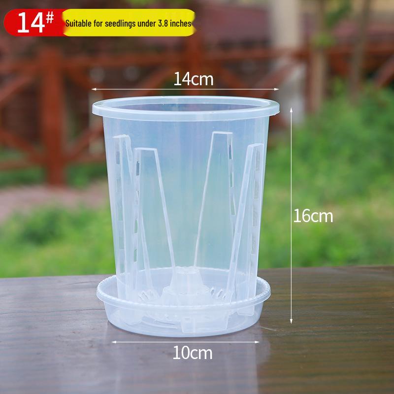 Transparent Breathable Flower Pot for Phalaenopsis and Dendrobium - Root Control Design