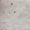 Himalayan Bath Salts Rosemary And Clary Sage 500g