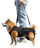 Care Harness for Senior Walking Care Glows At Dog Care Walker Black [Easy Walking] Dogs, Aid, Rehabilitation, Supplies, Night, Product, (Large, Mesh)
