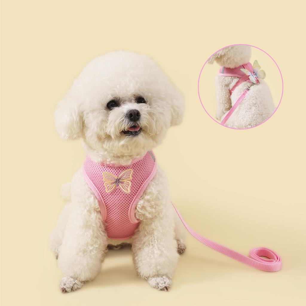 Butterfly Dog Harness and Leash Sets for Small Dog Leash Breathable Cat Harness and Leash Sets Outwalking Dog Strap Pet Harness