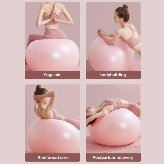 55/65/75CM Yoga Ball with Air Pump Anti-slip Physical Therapy PVC Fitness Balance Ball Pregnancy Birthing Ball Gym Workout Stability Ball