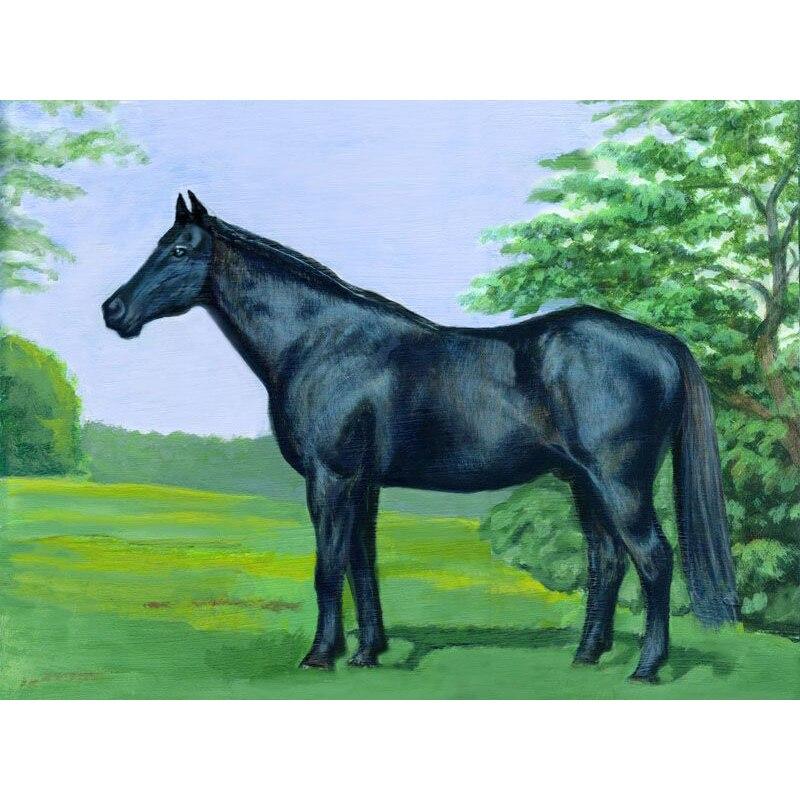 5D DIY комплект алмазной живописи «Лунный свет и лошадь в джунглях» Алмазная вышивка стразы украшения для дома