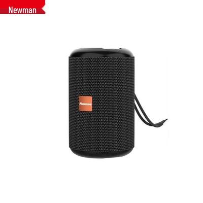 Портативная беспроводная Bluetooth-колонка Newmine BT32, штекер CN (адаптер в комплекте)
