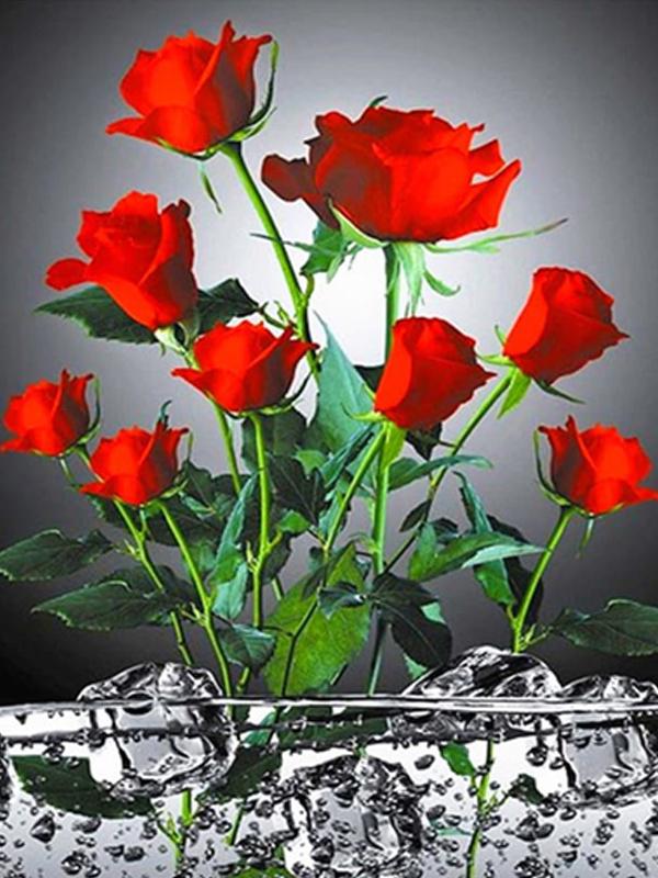 5D алмазная живопись роза Алмазная вышивка черно-белая мозаика картина из горного хрусталя украшение дома подарок