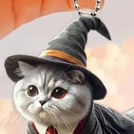 Halloween Wizard Cat Hanging Decoration Home Indoor Christmas Tree Car Rearview Mirror 2D