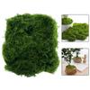 Искусственные растения DIY Ландшафтный дизайн Реалистичный мох Живой внешний вид