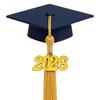 Прочный сплав Подвеска-ожерелье 2026 года, посвященная событию в жизни, Удобная посадка для повседневного ношения Элегантный аксессуар
