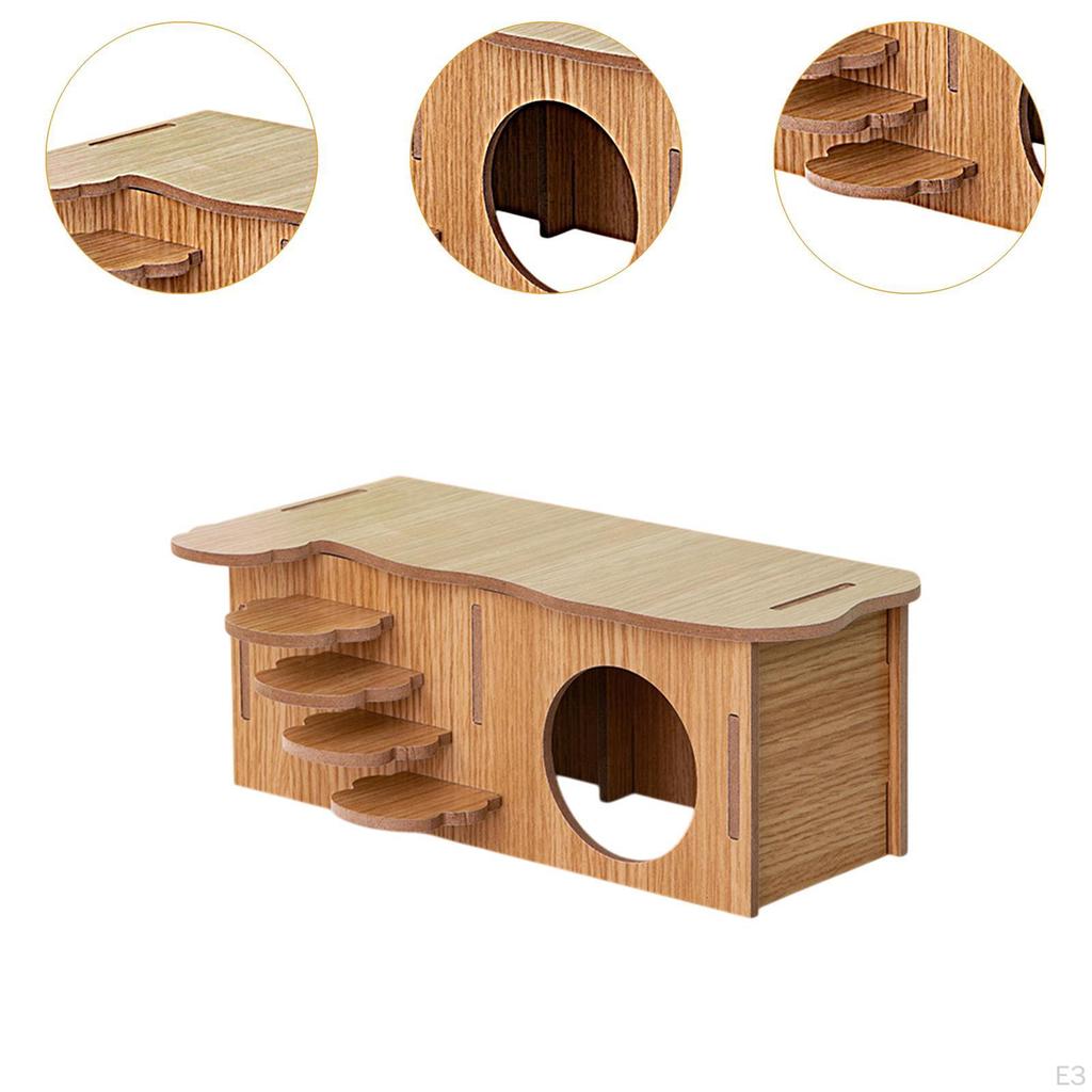 Hamster Habitat with Climbing Structure for Small Animals