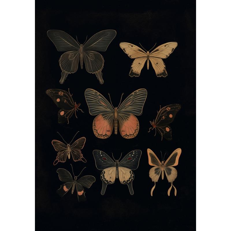 Винтажные постеры в стиле дарк-академия с изображением мотыльков, викторианская готика, иллюстрация насекомых, холст, настенные принты, картина для комнаты, домашний декор