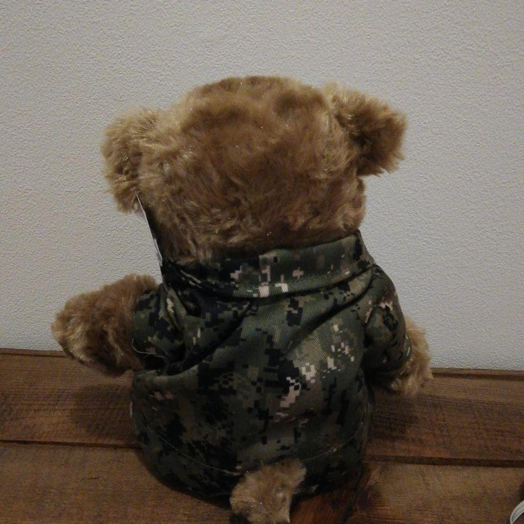 [USED] Rare American Souvenir Chelsea Army Teddy Bear