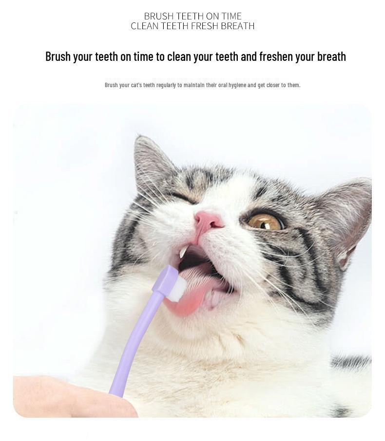 Набор для ухода за полостью рта домашних животных: Набор зубных щеток для кошек с маленькой головкой и пальчиковой щеткой - Щетина высокой плотности