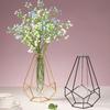 Nordic Styles Hydroponic Flower Vase Geometric Line Frame Iron Art Vase Glass Test Tube Metal Holder Home Decoration Craft Gift